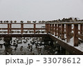 雪の中の鳥 33078612