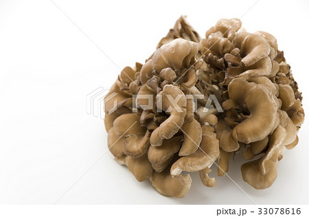 まいたけ 33078616