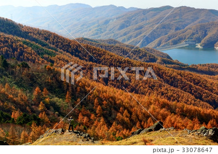 石丸峠からカラマツの黄葉と大菩薩湖 33078647