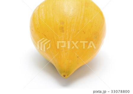 カニステル カニステル 33078800