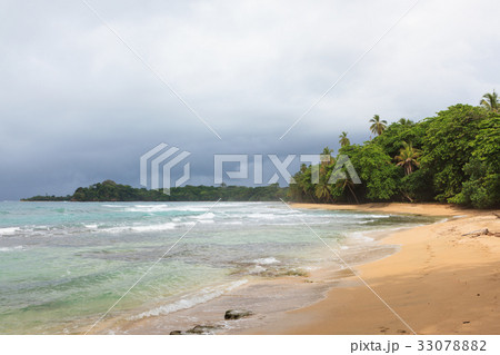 Beach forest and storm sky 33078882
