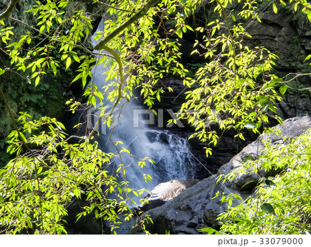 台北 台北市 タイペイ 33079000
