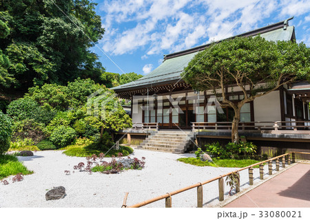 鎌倉 報国寺 庭園 鎌倉 報国寺 庭園 33080021