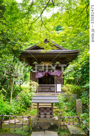円覚寺 黄梅院 神奈川県鎌倉市 2017年7月現在 33081475