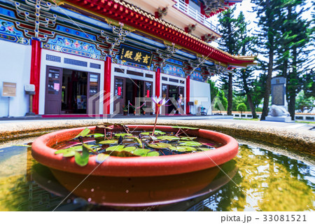 Xuanguang Temple with flower 33081521