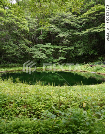 たまだれの滝 不思議な丸池(群馬県吾妻郡嬬恋村鹿沢温泉) たまだれの滝 不思議な丸池(群馬県吾妻郡嬬恋村鹿沢温泉) 33085278