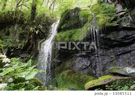 たまだれの滝(群馬県吾妻郡嬬恋村鹿沢温泉) たまだれの滝(群馬県吾妻郡嬬恋村鹿沢温泉) 33085511