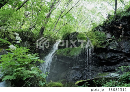 たまだれの滝(群馬県吾妻郡嬬恋村鹿沢温泉) たまだれの滝(群馬県吾妻郡嬬恋村鹿沢温泉) 33085512