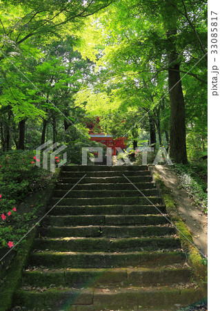 三重塔へと向かう石段 33085817