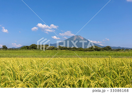 伯耆大山と田園風景〜8月 33086168