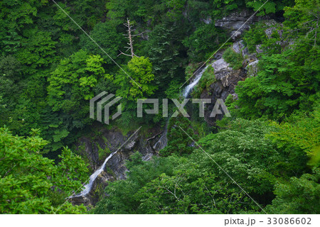 程野東滝(高知県吾川郡いの町程野) 程野東滝(高知県吾川郡いの町程野) 33086602