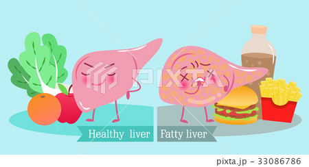 liver with health concept 33086786