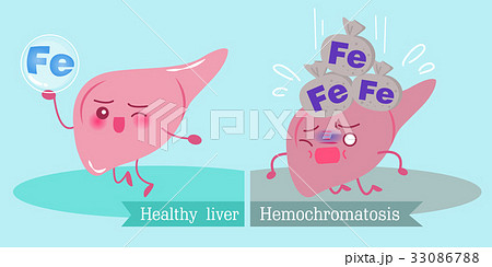 liver with health concept 33086788