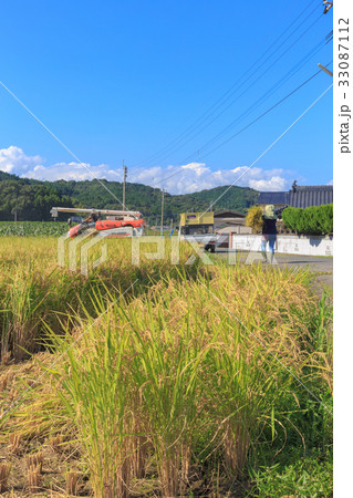 稲刈り 収穫の秋 実りの稲穂 築上町の秋 稲刈り 収穫の秋 実りの稲穂 築上町の秋 33087112