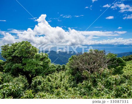西伊豆スカイラインからの風景 33087331