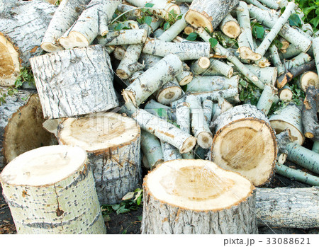 firewoods firewoods 33088621