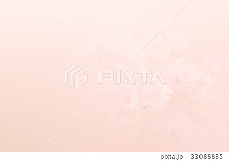 sweet color Lesser bougainvillea flowers in blur 33088835