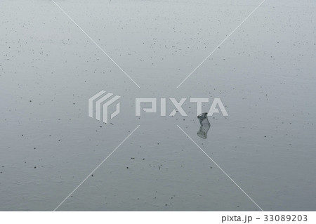 クリール 静か 順天湾 33089203