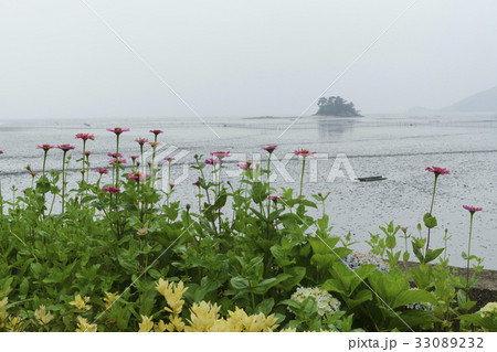 花畑 島 順天湾 33089232