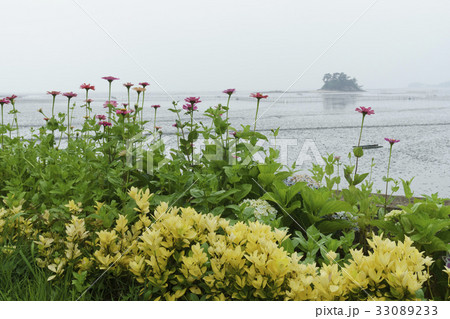 花畑 島 順天湾 33089233