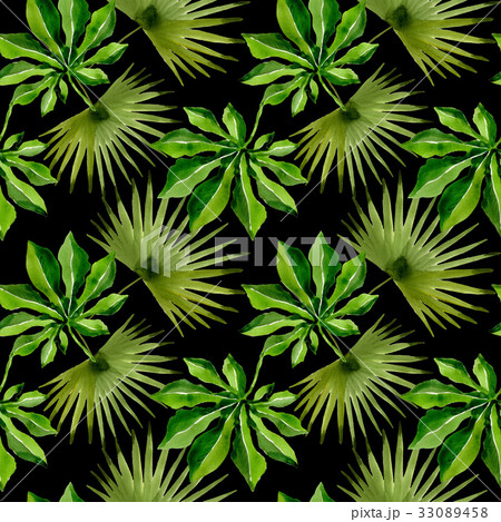 Tropical Hawaii leaves palm tree pattern in a 33089458