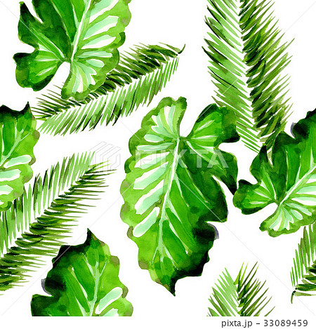 Tropical Hawaii leaves palm tree pattern in a Tropical Hawaii leaves palm tree pattern in a 33089459