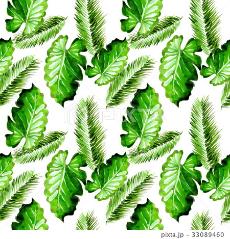 Tropical Hawaii leaves palm tree pattern in a 33089460
