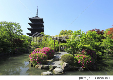 5月 ツツジの東寺 京都の世界遺産 の写真素材