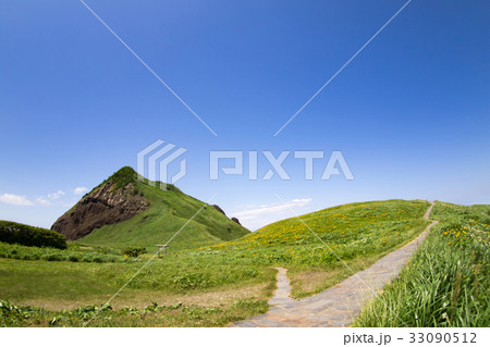 大野亀のカンゾウ 33090512
