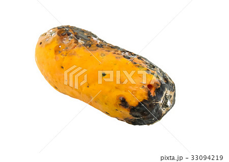 rotten papaya isolate on white background rotten papaya isolate on white background 33094219