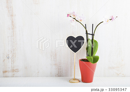 Orchid (Phalaenopsis ) and a heart Orchid (Phalaenopsis ) and a heart 33095347