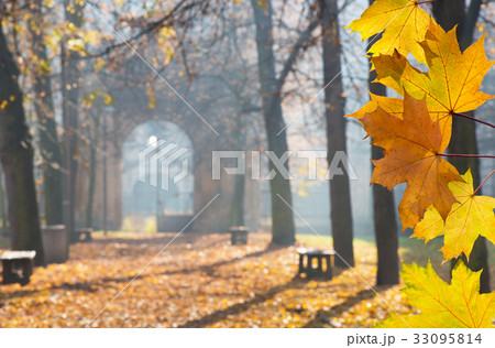 Autumn Colonade with Gateway in the Cemetery 33095814
