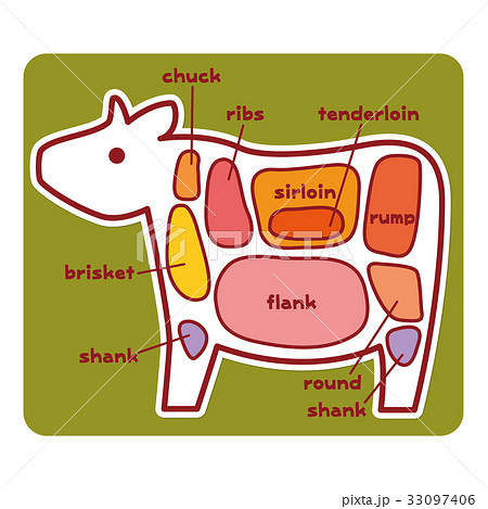 食物図解 牛肉の部位 英語 のイラスト素材