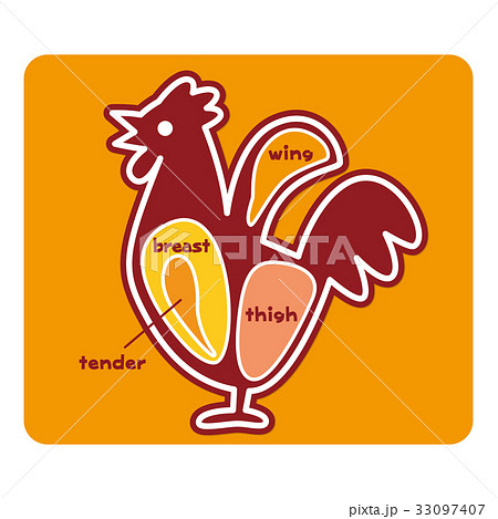 食物図解 鶏肉の部位 英語 のイラスト素材