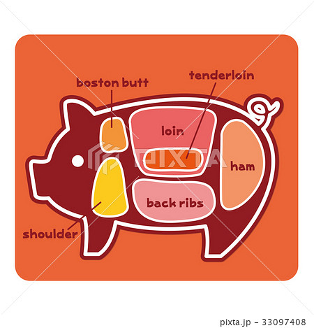 食物図解 豚肉の部位 英語 のイラスト素材