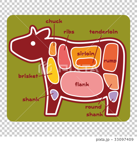 食物図解 牛肉の部位 英語 のイラスト素材