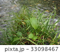 川辺 33098467