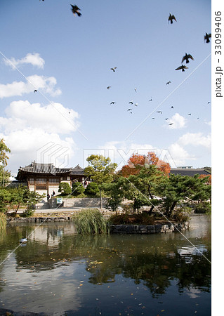 池 屋外 室外 33099406