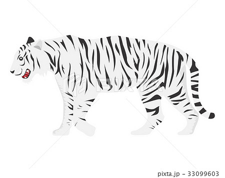最高のイラスト画像 ロイヤリティフリーかっこいい 白い 虎 イラスト