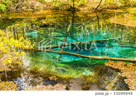 《北海道》神の子池《秋》 《北海道》神の子池《秋》 33099949