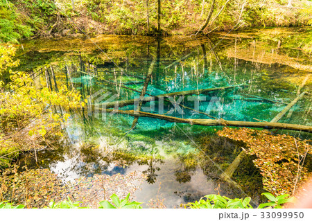 《北海道》神の子池《秋》 33099950