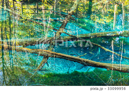 《北海道》神の子池《秋》 33099956
