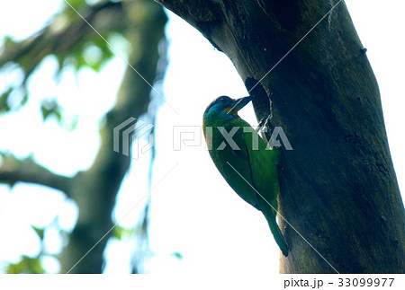 穴 あな 穴あき 33099977