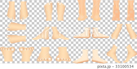 Human foot 33100534