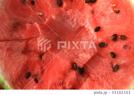 Watermelon Watermelon 33102101