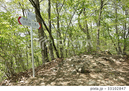 道志山塊 馬立山 33102847