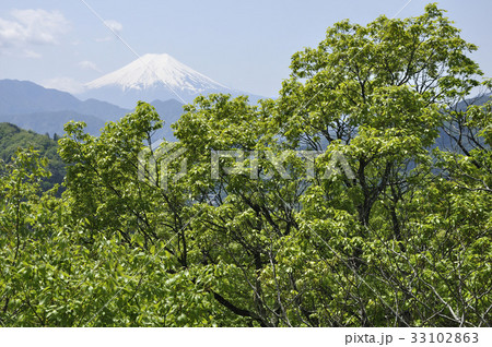 新緑に富士山 33102863