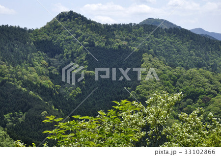 菊花山より九鬼山を望む 33102866