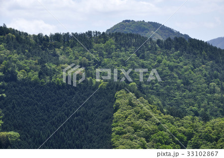 菊花山より新緑の九鬼山 33102867