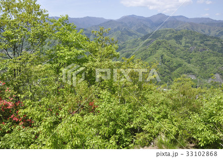 春の緑と小金沢連嶺 33102868